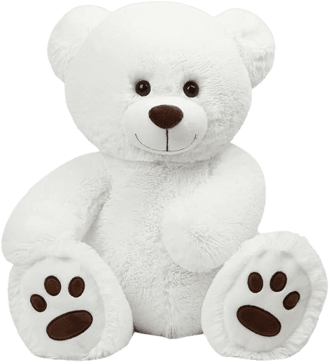 Bella the creative teddy