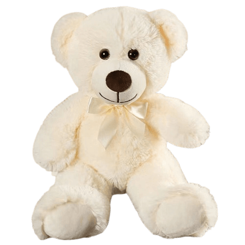 Max the explorer teddy